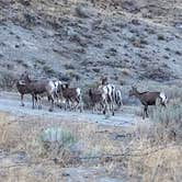 Review photo of Rocky Coulee Recreation Area by Chad L., August 26, 2020