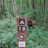 Review photo of Park and Pack Campsite 10 — Mohican-Memorial State Forest by Kenpocentaur K., August 26, 2020