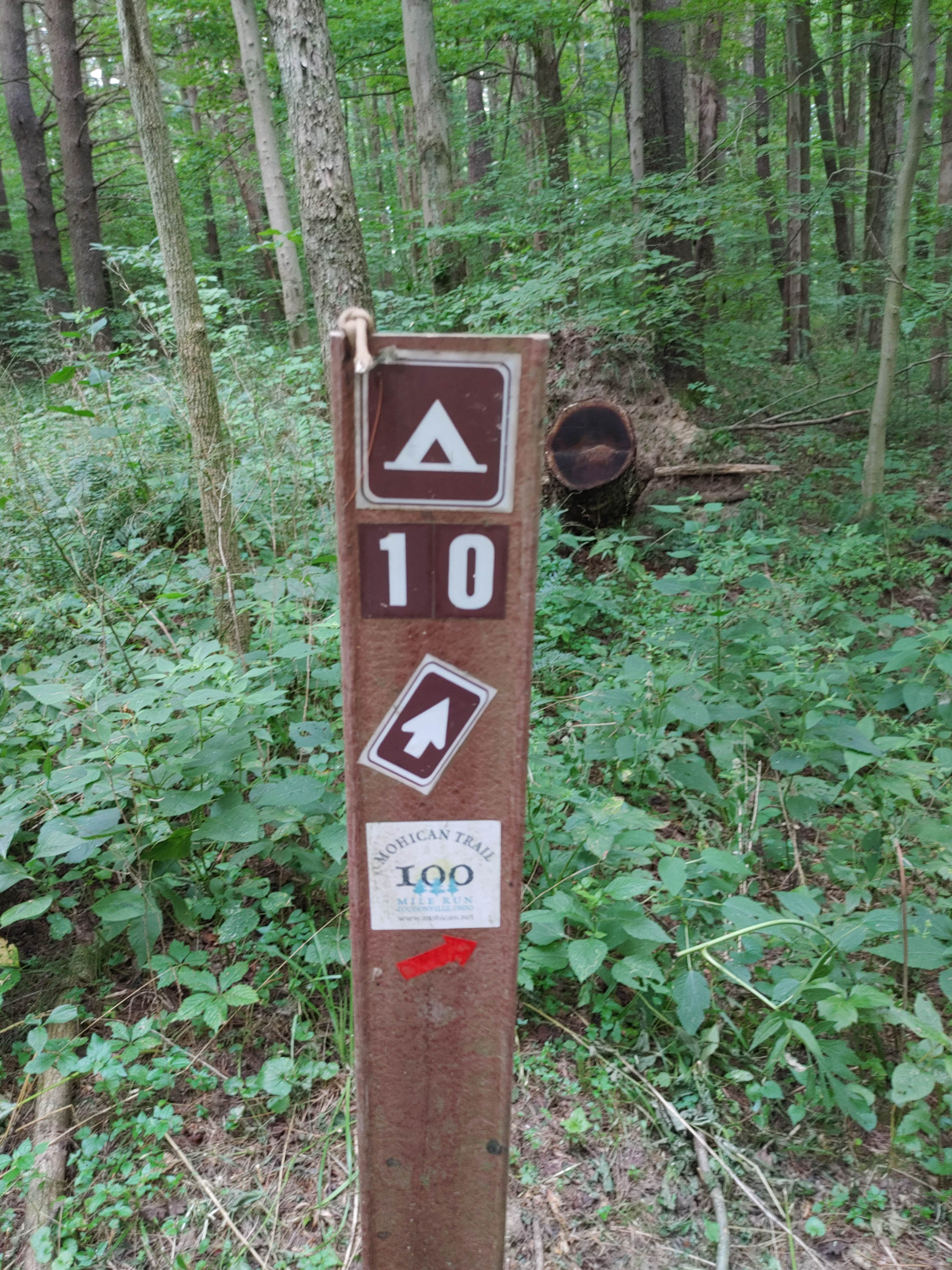 Signs & Maps