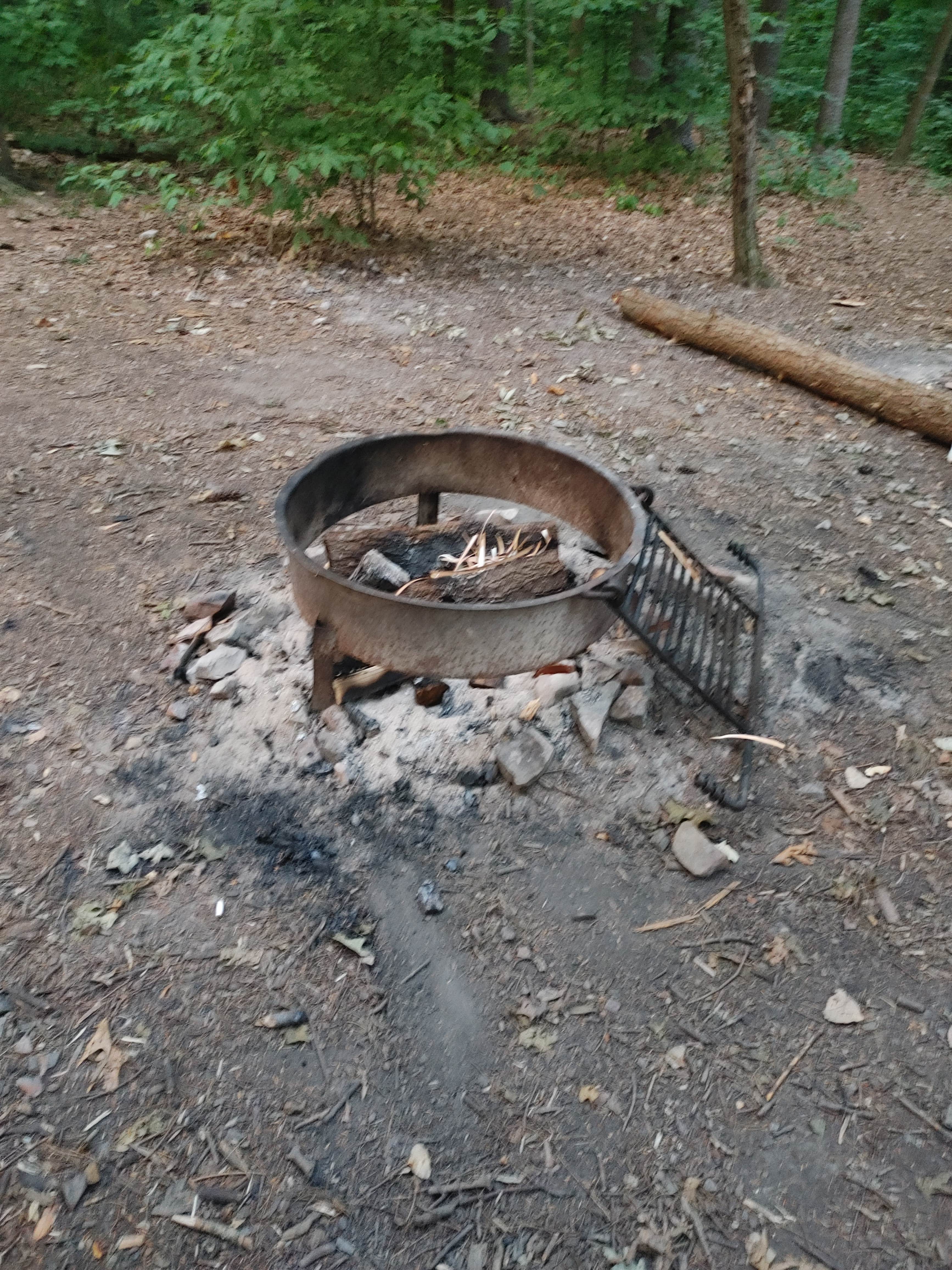 Camper submitted image from Park and Pack Campsite 10 — Mohican-Memorial State Forest - 2