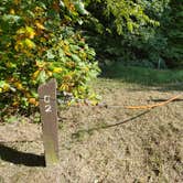 Review photo of Park and Pack Campsite 10 — Mohican-Memorial State Forest by Kenpocentaur K., August 26, 2020