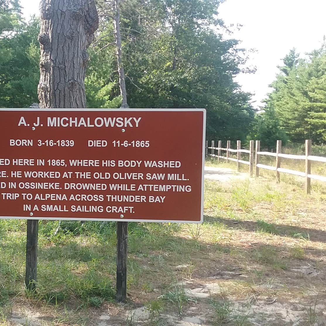 Ossineke State Forest Campground Camping The Dyrt