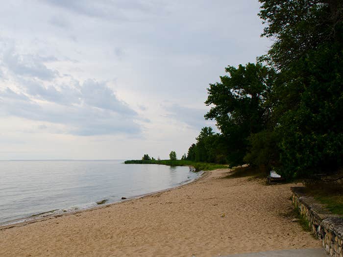 Camper submitted image from J.W. Wells State Park Campground - 3