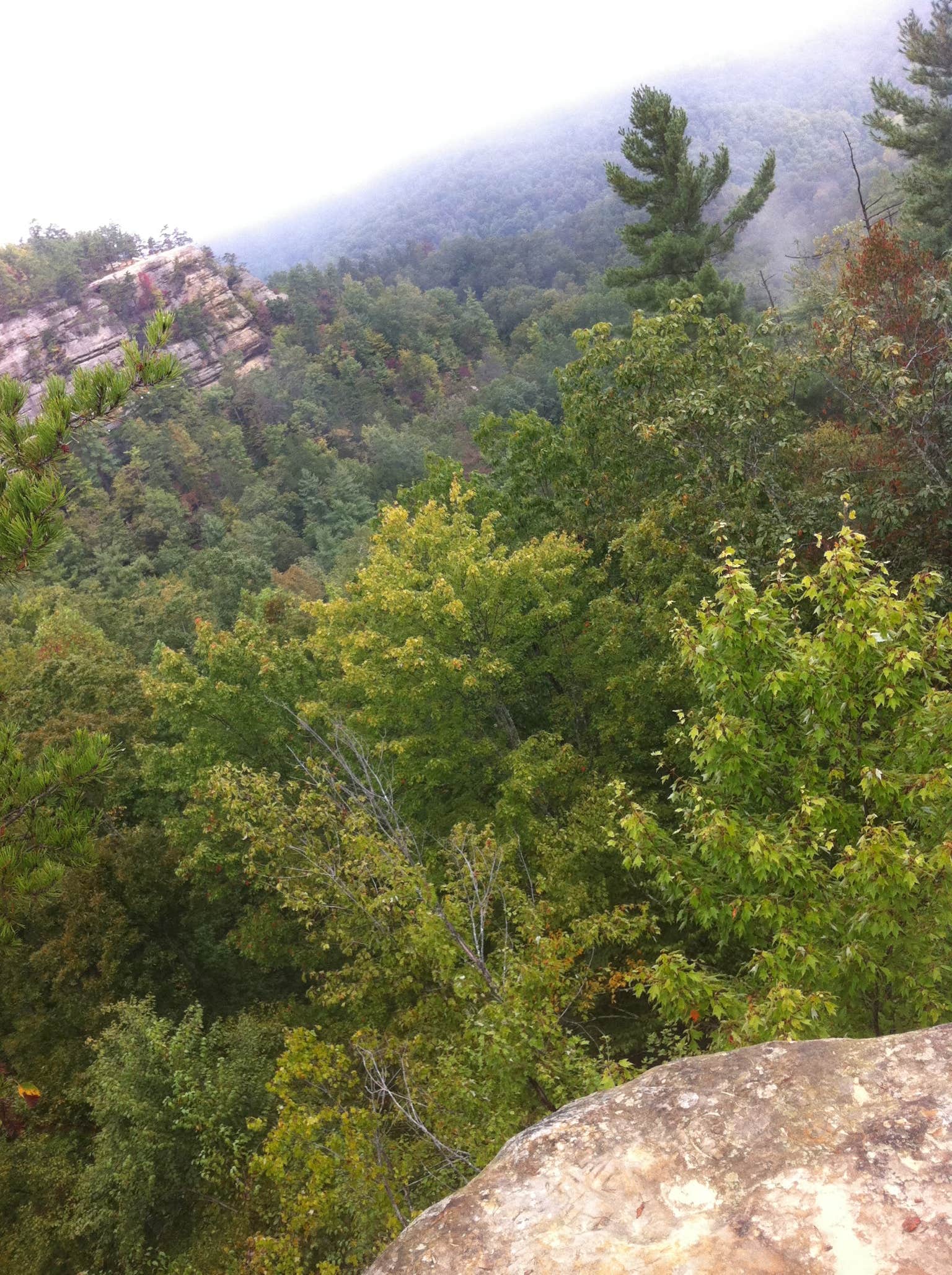 Camper-submitted photo at Bee Rock Rec Area near Somerset, KY