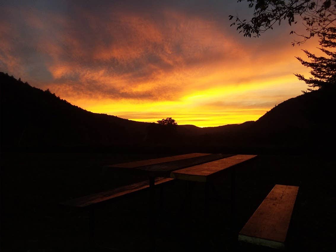Camper submitted image from Bald Mountain Campground - 2