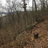 Review photo of Lake Guntersville State Park Campground by Shelly S., May 8, 2018