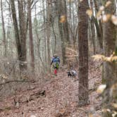 Review photo of Lake Guntersville State Park Campground by Shelly S., May 8, 2018