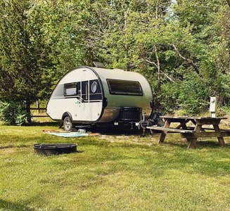 Camper-submitted photo from Marthas Vineyard Family Campground