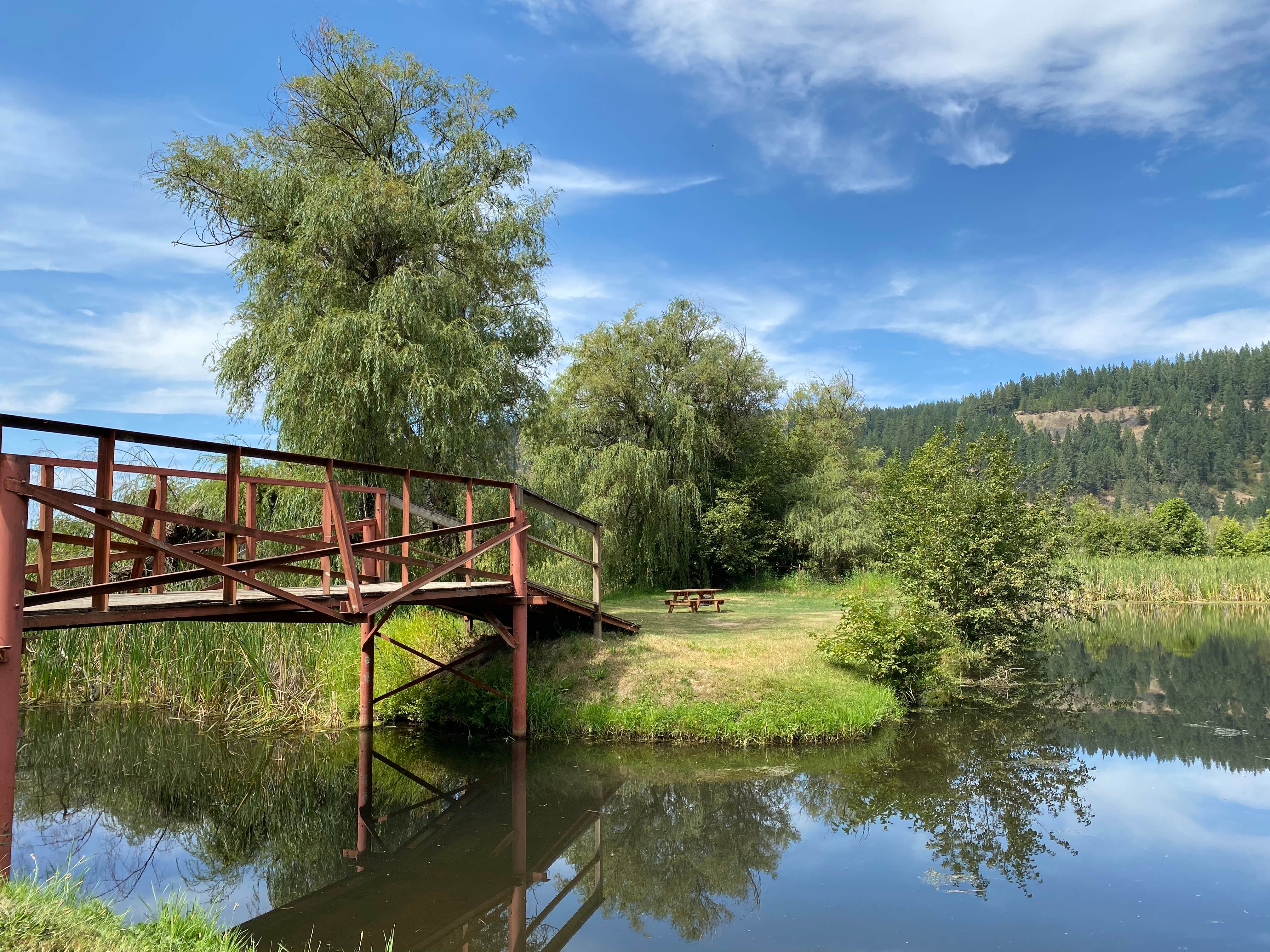 Camp Coeur D Alene The Dyrt