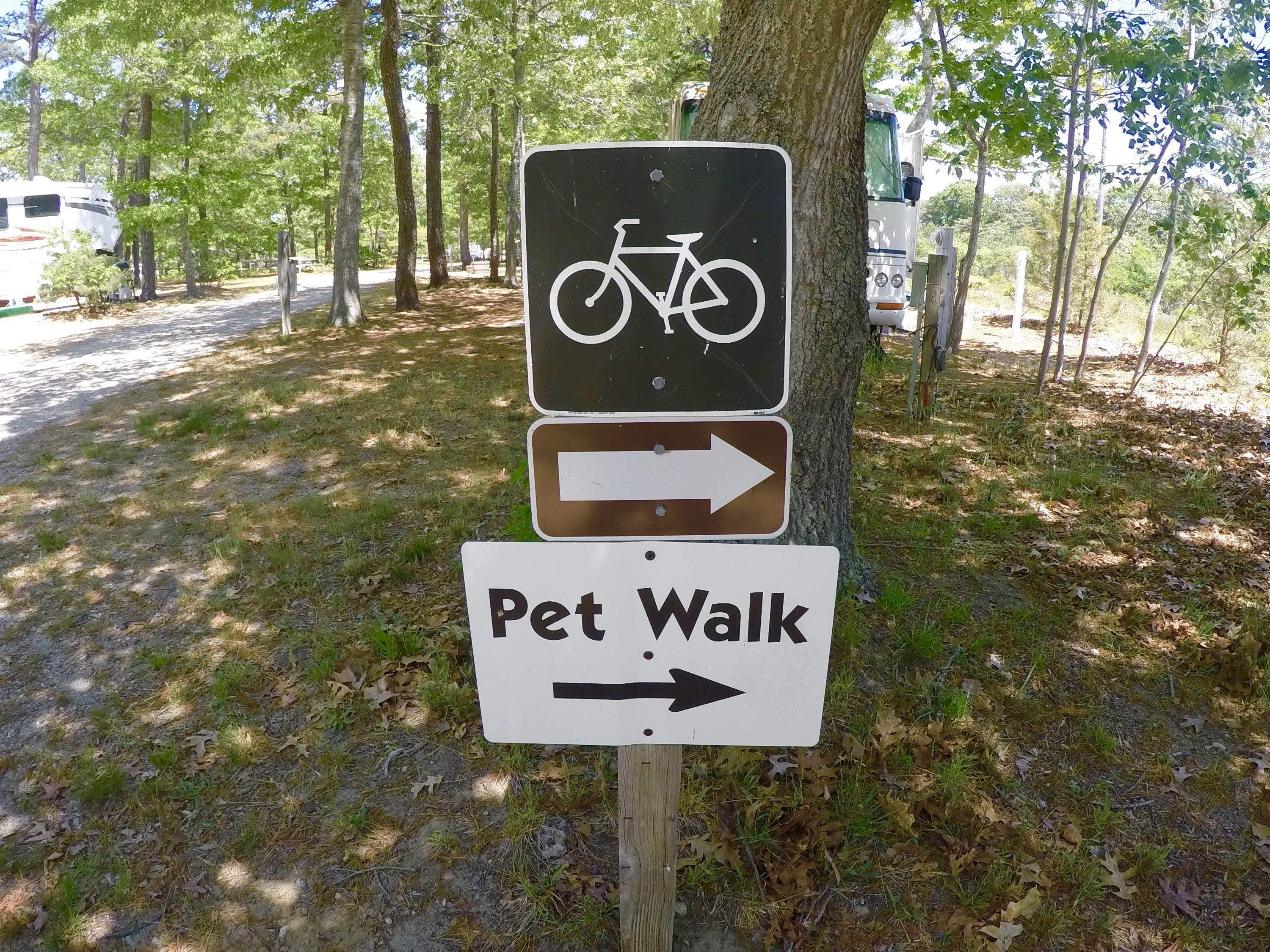 Camper-submitted photo at Atlantic Oaks Campground near Orleans, MA