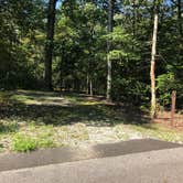 Review photo of Cedarville State Forest by Kasey M., August 26, 2020