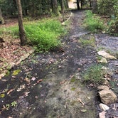 Review photo of Cedarville State Forest by Kasey M., August 26, 2020
