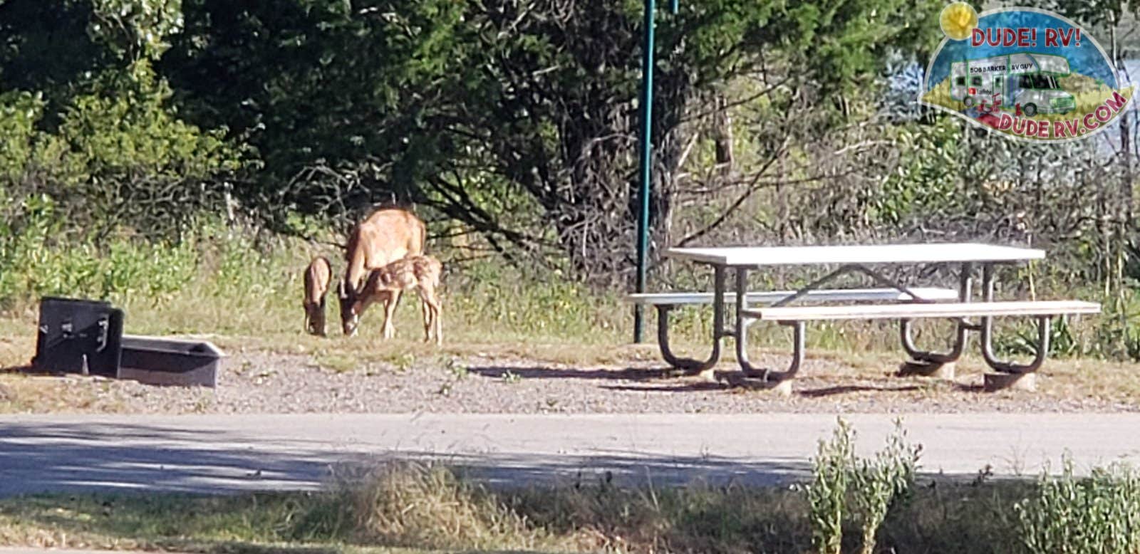Dude R.'s photo of camping with a horse at Isle du Bois Campsites — Ray Roberts Lake State Park near Denton, TX