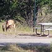 Review photo of Isle du Bois — Ray Roberts Lake State Park by Dude R., August 26, 2020