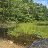 Review photo of Nickerson State Park Campground by Kim R., May 8, 2018