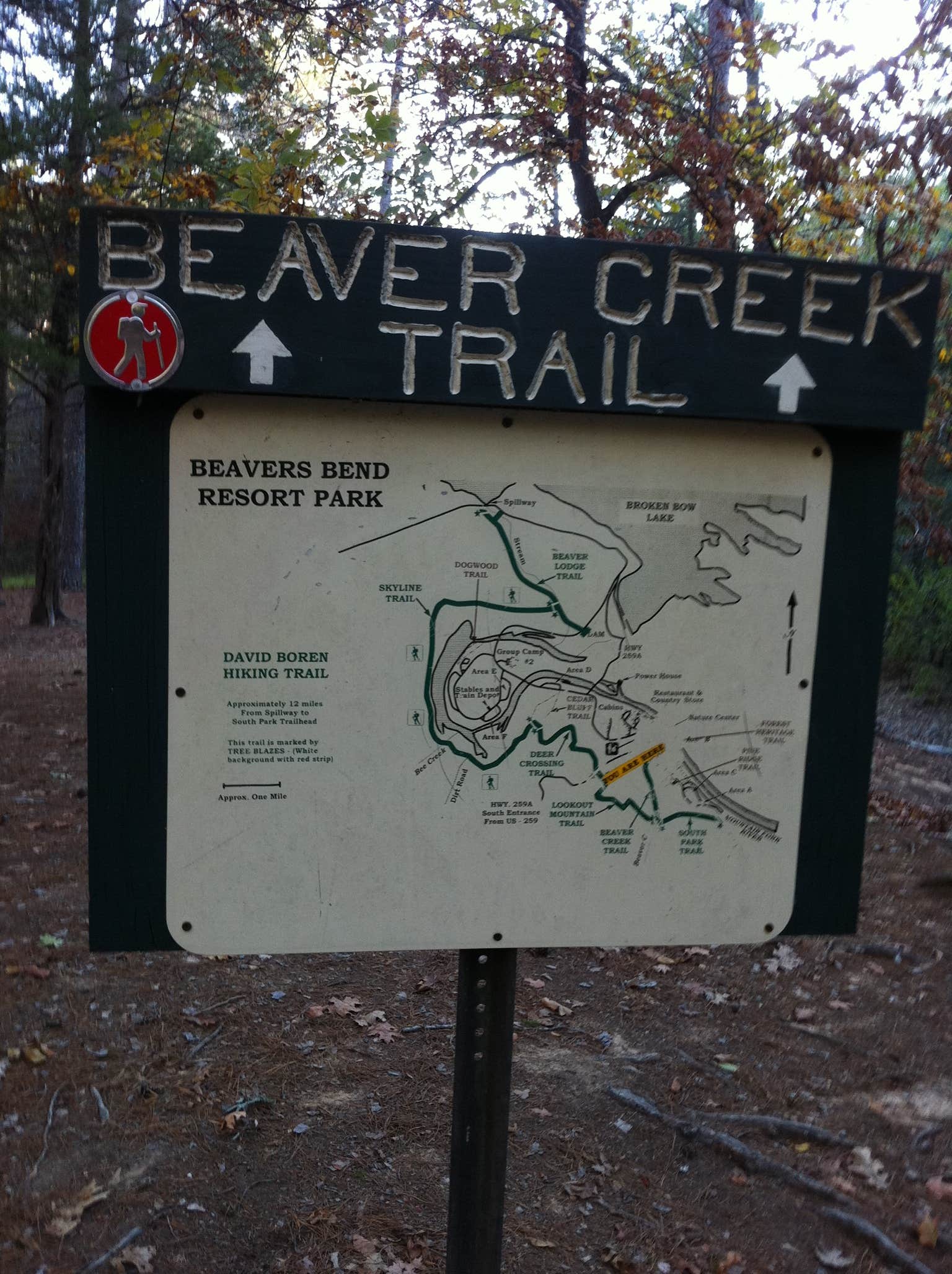 Camper submitted image from Beavers Bend State Park Campground - 5