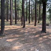 Review photo of Sitgreaves National Forest Canyon Point Campground by Larry K., August 26, 2020