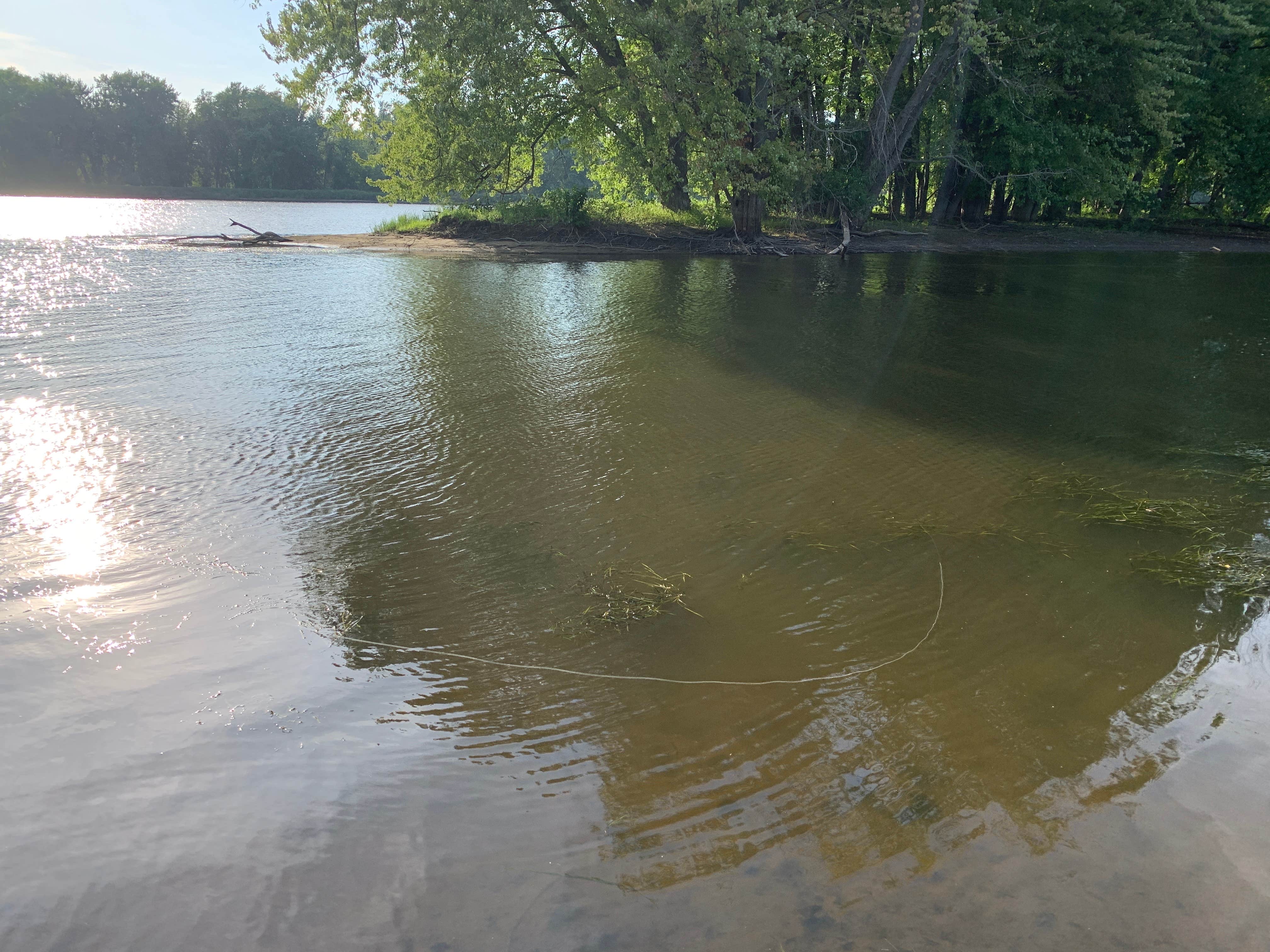 Camper submitted image from Blackhawk Park - 5