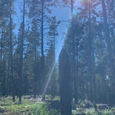 Review photo of Arrowhead RV Park by Amurican L., August 26, 2020