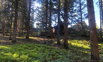 Camping near Mountain View Park: Arrowhead RV Park, Wheatland, Wyoming