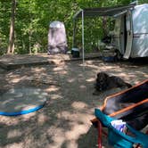 Review photo of Frontenac State Park Campground by Roni J., August 26, 2020