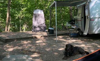 Roni J.'s photo of camping with pets at Frontenac State Park Campground near Spring Valley, WI
