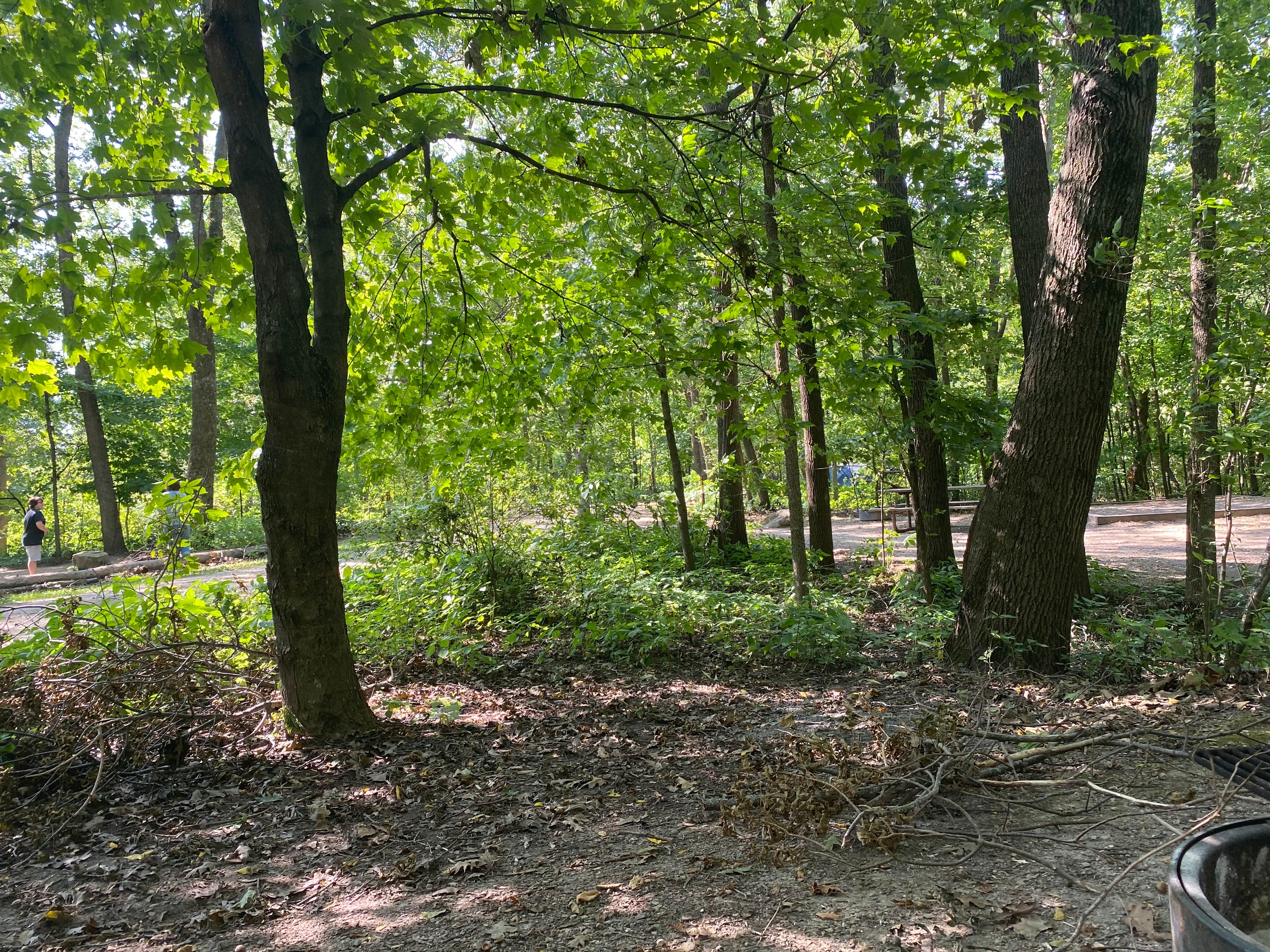 Camper-submitted photo at Frontenac State Park Campground near Alma, WI
