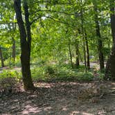 Review photo of Frontenac State Park Campground by Roni J., August 26, 2020