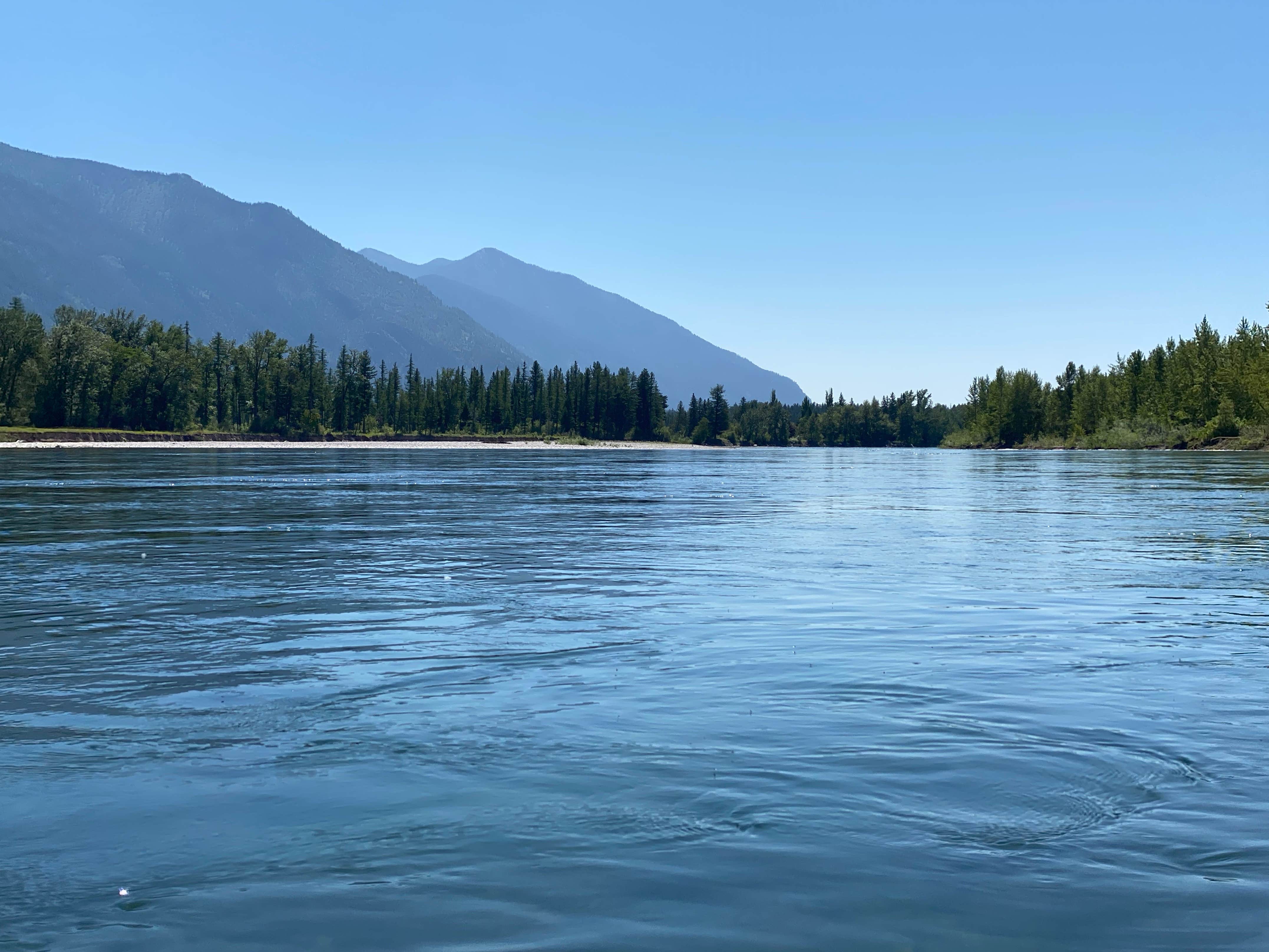 Camper-submitted photo at Spruce Park On The River near Kalispell, MT