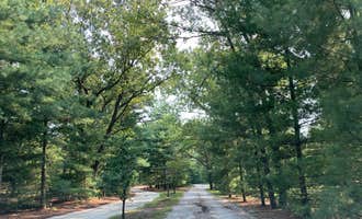 Camping near Emerald Trails Campground: Pioneer Family Campground, Lake Village, Indiana