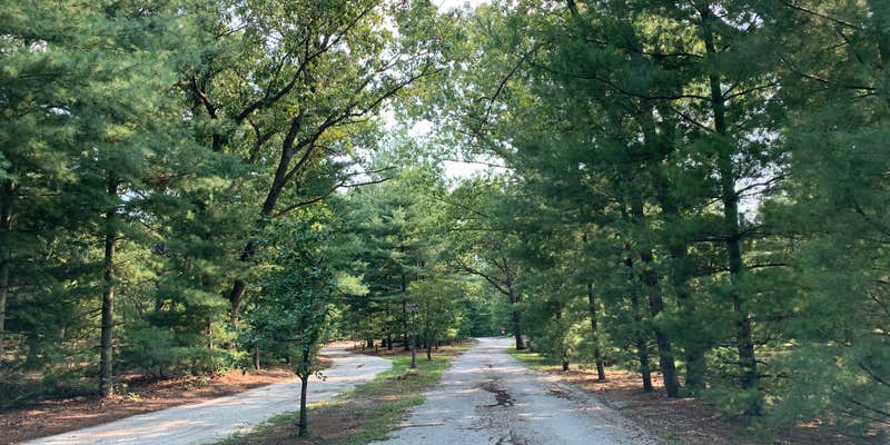 Camper submitted image from Pioneer Family Campground