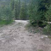 Review photo of Chaffee County Road 390 Dispersed by Anthony P., August 26, 2020