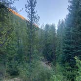 Review photo of Chaffee County Road 390 Dispersed by Anthony P., August 26, 2020