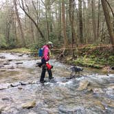 Review photo of Blue Heron Campground — Big South Fork National River and Recreation Area by Shelly S., May 8, 2018