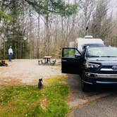 Review photo of Blue Heron Campground — Big South Fork National River and Recreation Area by Shelly S., May 8, 2018