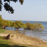 Review photo of Doctors Creek Unit - Cooper Lake State Park by Dude R., August 26, 2020