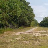 Review photo of Doctors Creek Unit - Cooper Lake State Park by Dude R., August 26, 2020