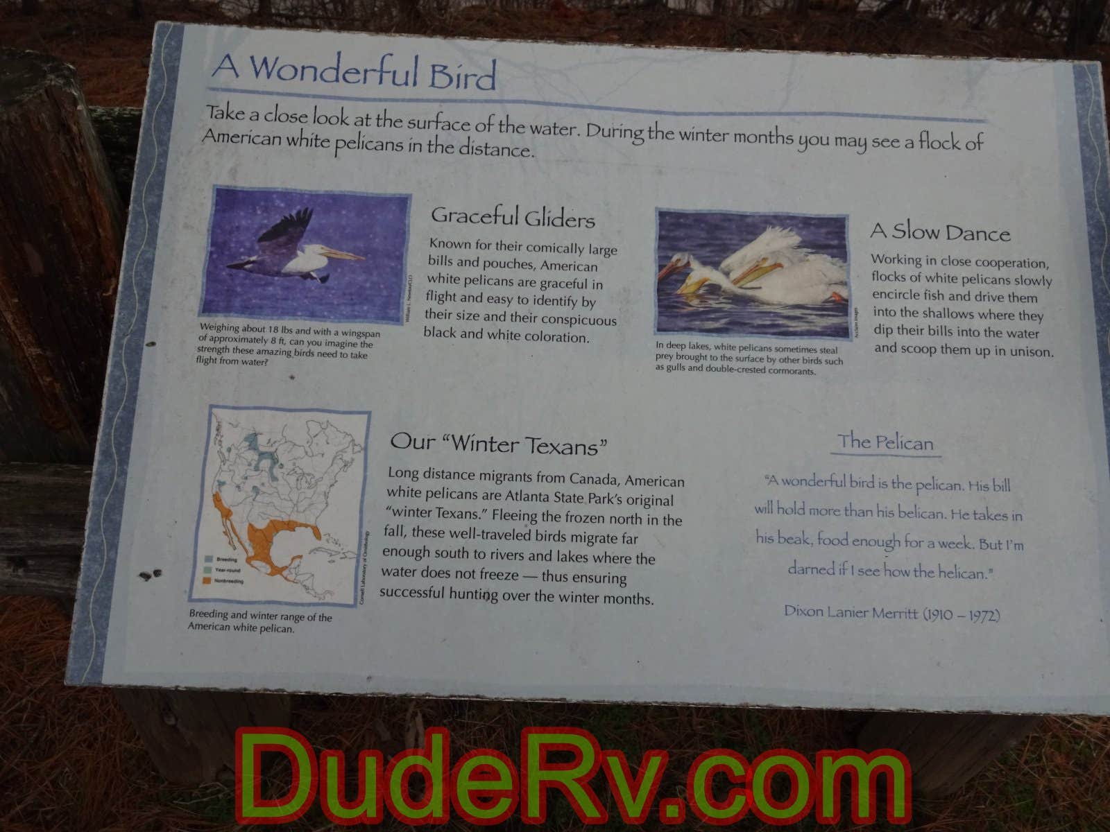 Camper submitted image from Atlanta State Park Campground - 5