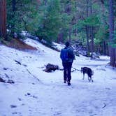 Review photo of Upper Pines Campground — Yosemite National Park by Michael I., May 8, 2018