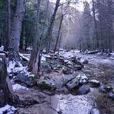 Review photo of Upper Pines Campground — Yosemite National Park by Michael I., May 8, 2018