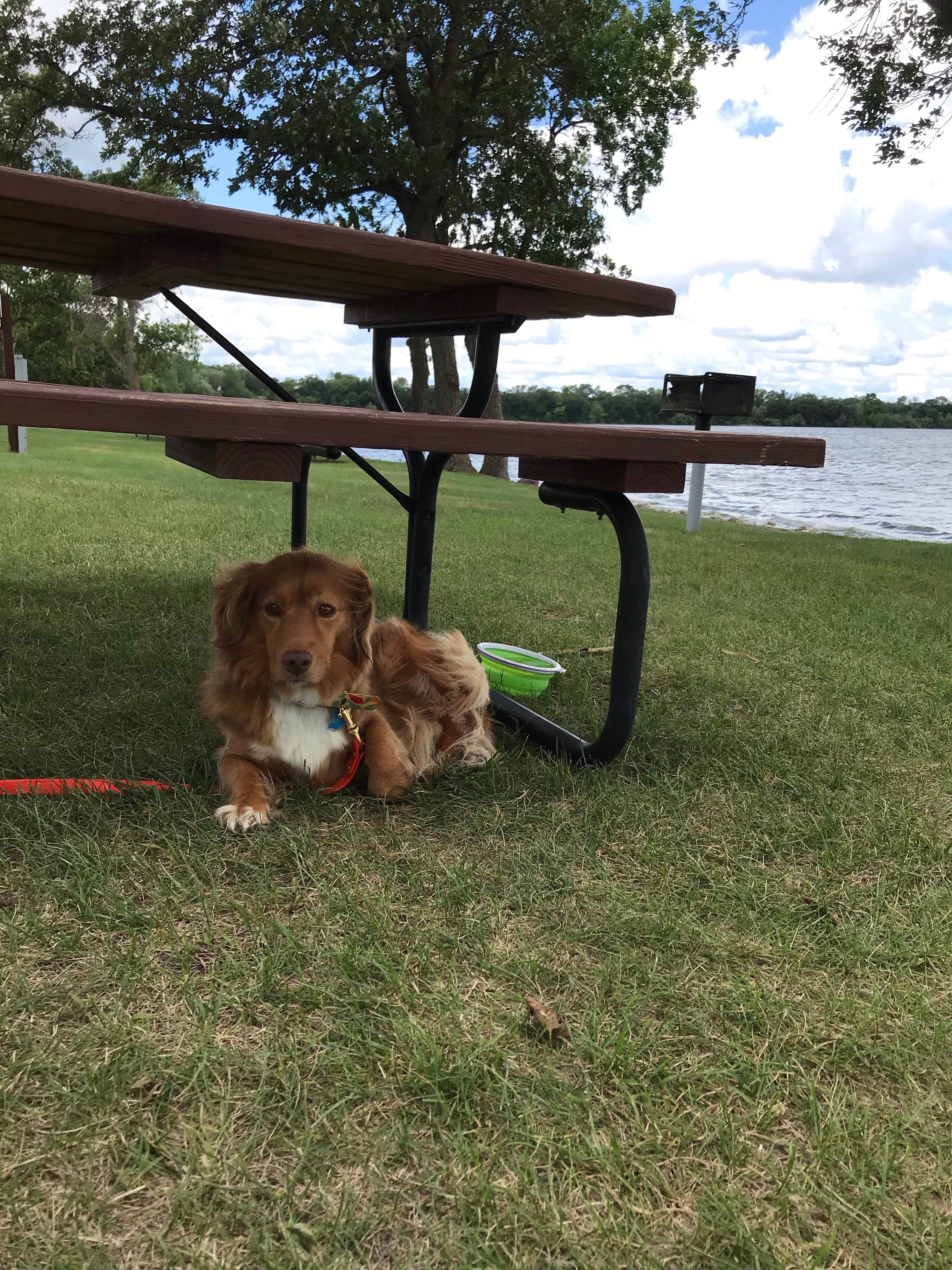 Camper-submitted photo at Big Stone County Toqua Park near Corona, SD