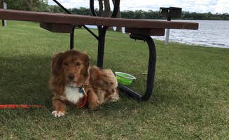 Daniel R.'s photo of camping with pets at Big Stone County Toqua Park near Dawson, MN