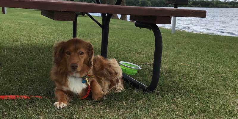 Camper submitted image from Big Stone County Toqua Park