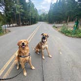 Review photo of Reverend's Ridge Campground — Golden Gate Canyon by Janessa H., August 26, 2020