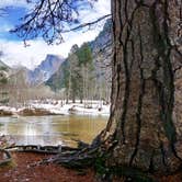 Review photo of Upper Pines Campground — Yosemite National Park by Michael I., May 8, 2018