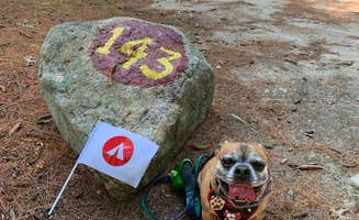 Justin F.'s photo of camping with pets at Burlingame State Park Campground near Mystic, CT