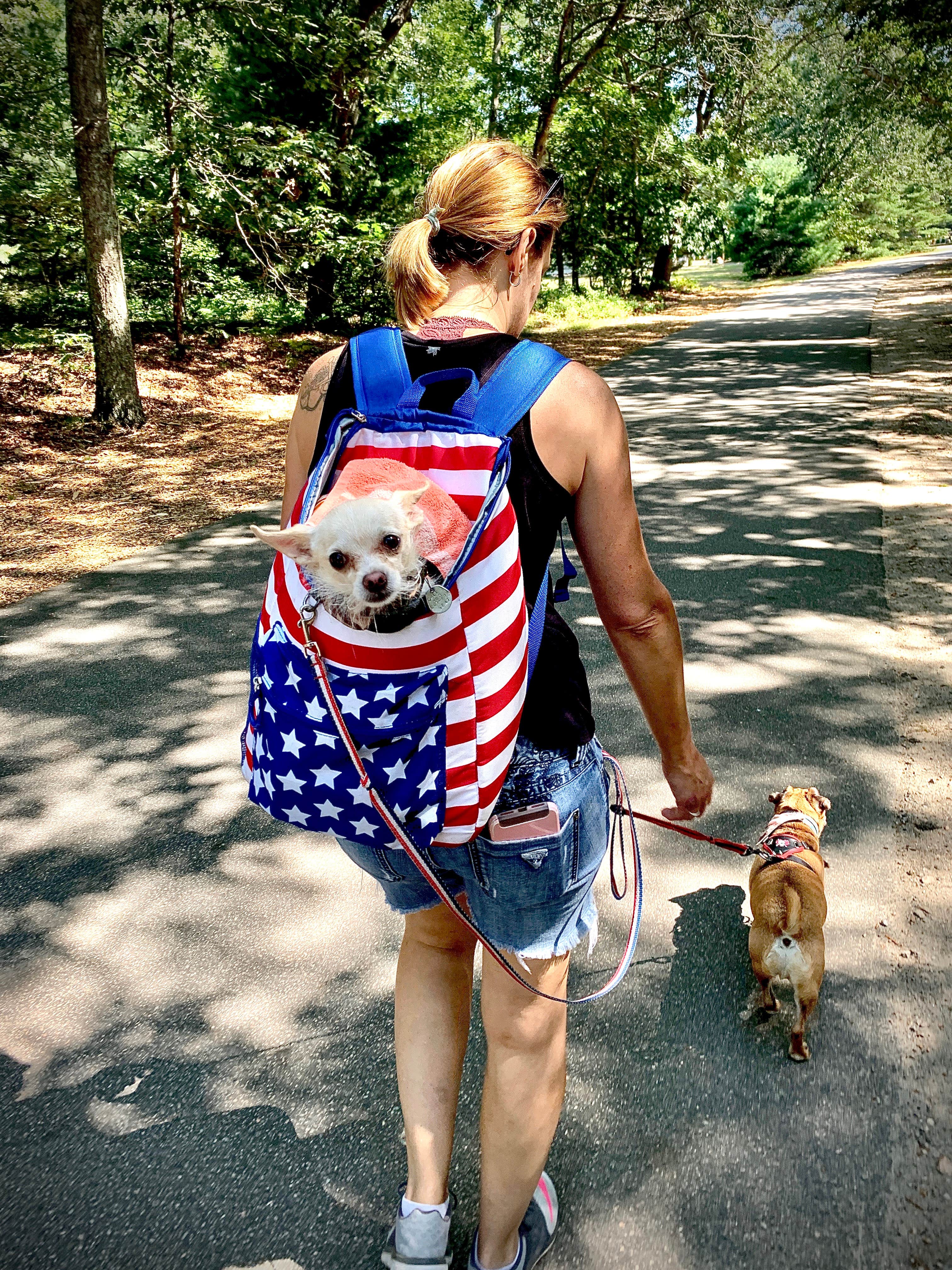 Justin F.'s photo of camping with pets at Burlingame State Park Campground near Narragansett Pier, RI