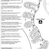 Review photo of Upper Pines Campground — Yosemite National Park by Michael I., May 8, 2018