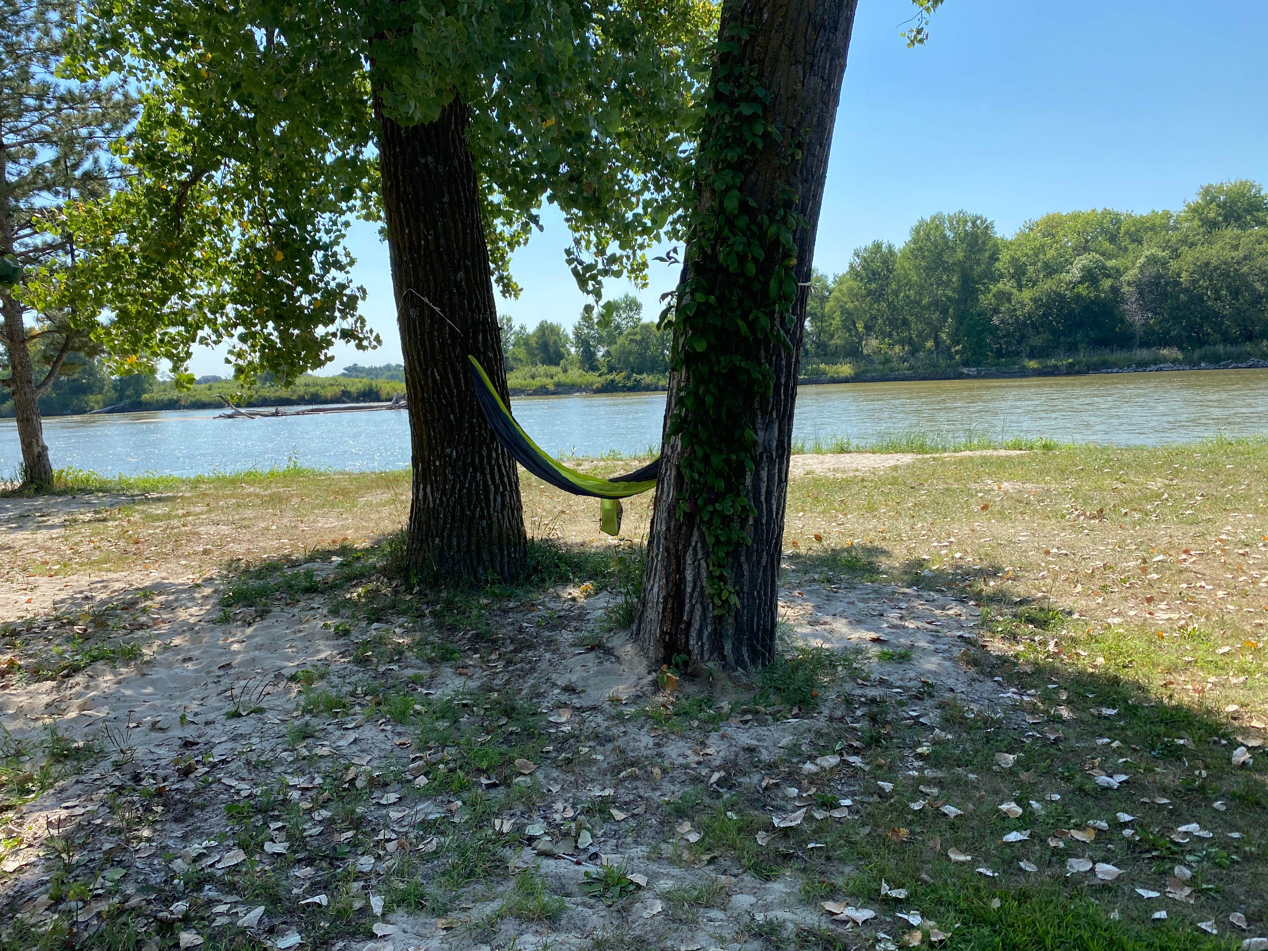 Camper submitted image from Cottonwood — Two Rivers SRA - 3