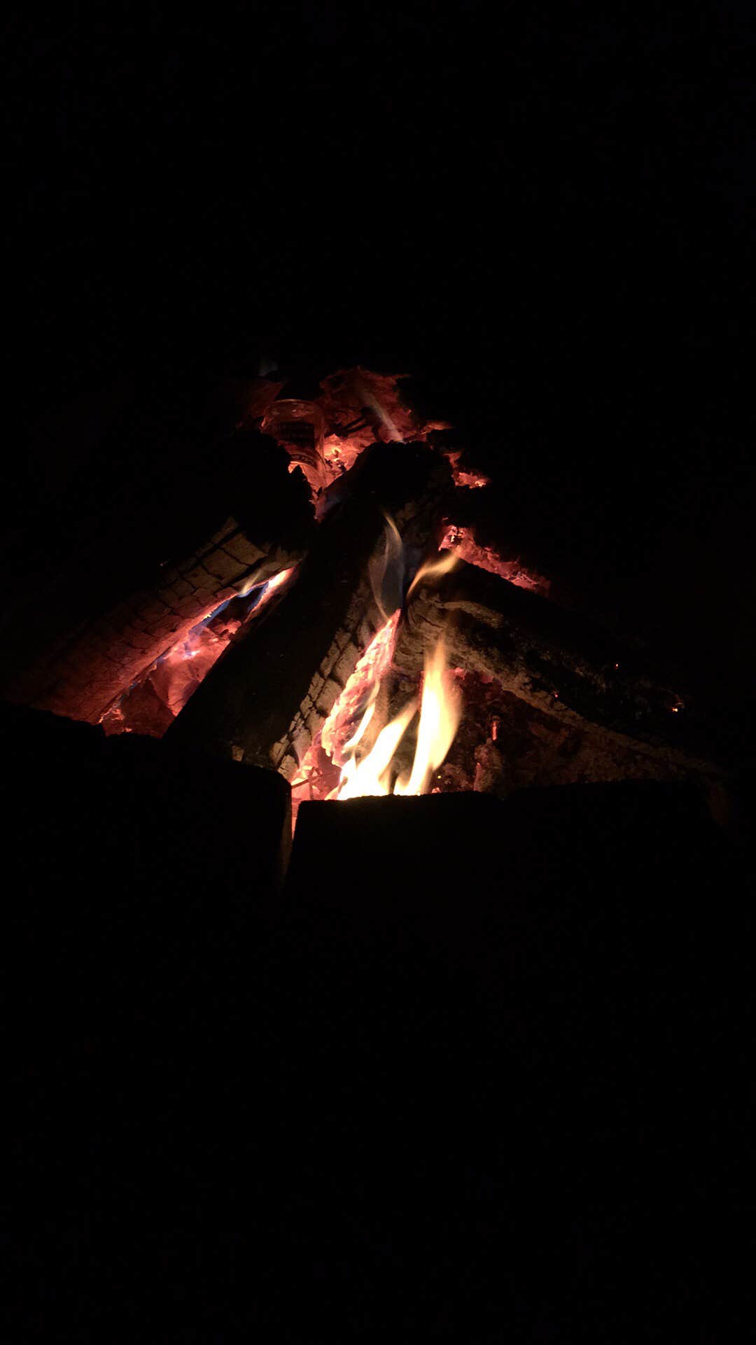 Brian C.'s photo at Hamilton Branch State Park Campground near Plum Branch, SC